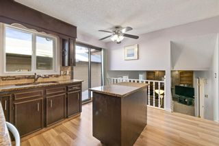 Photo 9: 1456 Berkley Drive NW in Calgary: Beddington Heights Detached for sale : MLS®# A2011390