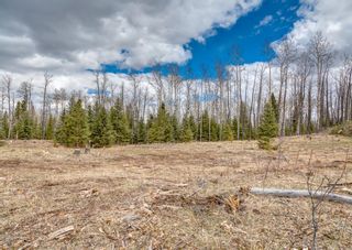Photo 29: TWP 290 / Winchell Lake Rd: Rural Mountain View County Residential Land for sale : MLS®# A1217315
