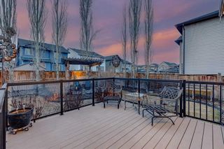 Photo 40: 39 Silverado Skies Manor SW in Calgary: Silverado Detached for sale : MLS®# A2122875