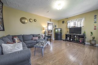 Photo 3: 3826 GLENDALE Street in Vancouver: Renfrew Heights House for sale (Vancouver East)  : MLS®# R2701454