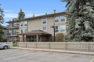 Photo 2: 214 860 Midridge Drive SE in Calgary: Midnapore Apartment for sale : MLS®# A2047108