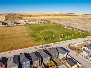 Photo 36: 797 Bayview Cove SW: Airdrie Detached for sale : MLS®# A2018203
