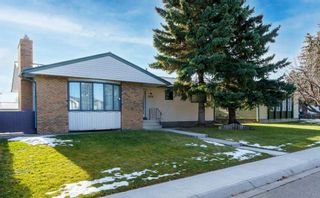 Photo 41: 1419 McCrimmon Drive: Carstairs Detached for sale : MLS®# A2092506