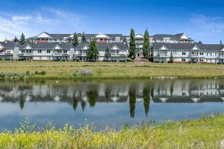 Photo 30: 408 8 Prestwick Pond Terrace SE in Calgary: McKenzie Towne Apartment for sale : MLS®# A2068292