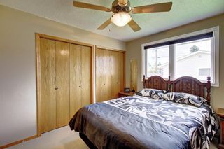 Photo 11: 3111 RAE Crescent SE in Calgary: Albert Park/Radisson Heights Detached for sale : MLS®# C4258934