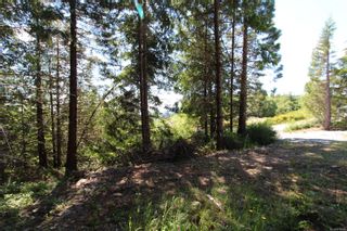 Photo 25: LOT 2 Olympic Dr in Shawnigan Lake: ML Shawnigan Land for sale (Malahat & Area)  : MLS®# 919124