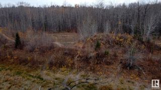 Photo 13: 503 199 Street in Edmonton: Zone 57 Vacant Lot/Land for sale : MLS®# E4349320