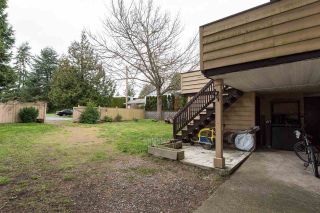 Photo 19: 561 56TH STREET in Delta: Pebble Hill House for sale (Tsawwassen)  : MLS®# R2045239