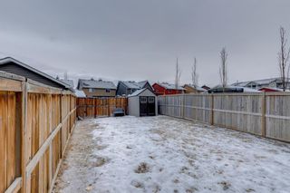 Photo 24: 104 Auburn Bay Street SE in Calgary: Auburn Bay Duplex for sale : MLS®# A1172826