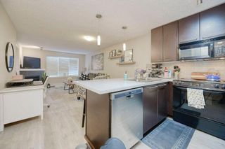Photo 9: 141 35 Richard Court SW in Calgary: Lincoln Park Apartment for sale : MLS®# A2103829