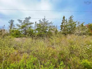 Photo 5: Lot 101 Long Cove Road in Port Medway: 406-Queens County Vacant Land for sale (South Shore)  : MLS®# 202304042
