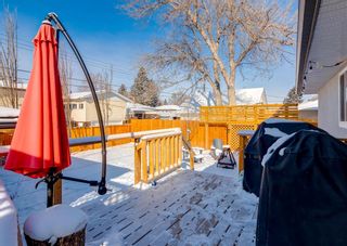Photo 42: 43 Fenton Road SE in Calgary: Fairview Detached for sale : MLS®# A1185696
