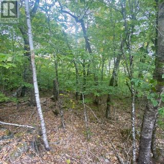 Photo 8: Lot 82 Sparkling Spring Lane in Labelle: Vacant Land for sale : MLS®# 202306324