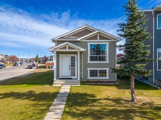 Main Photo: 4 Martin Crossing Crescent NE in Calgary: Martindale Detached for sale : MLS®# A2131057