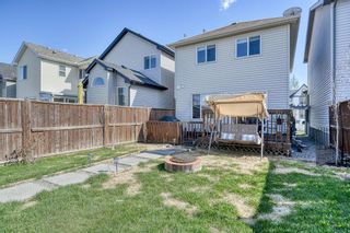 Photo 44: 455 Prestwick Circle SE in Calgary: McKenzie Towne Detached for sale : MLS®# A1104583