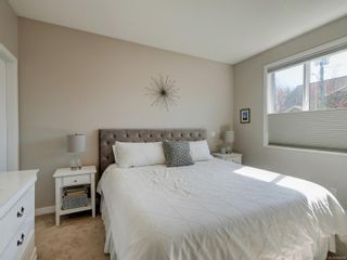 Photo 11: 4 1680 Ryan St in Victoria: Vi Oaklands Row/Townhouse for sale : MLS®# 899690