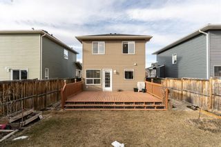 Photo 24: 1193 Ravenswood Drive SE: Airdrie Detached for sale : MLS®# A1195258