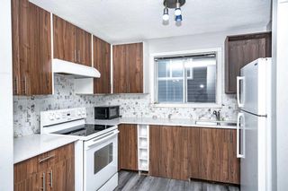 Photo 12: 6079 Martingrove Road NE in Calgary: Martindale Detached for sale : MLS®# A2121802