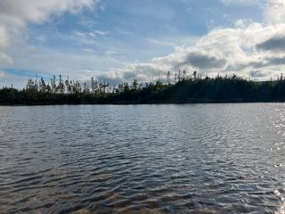 Photo 5: Highway 316 in Isaacs Harbour North: 303-Guysborough County Vacant Land for sale (Highland Region)  : MLS®# 202220810