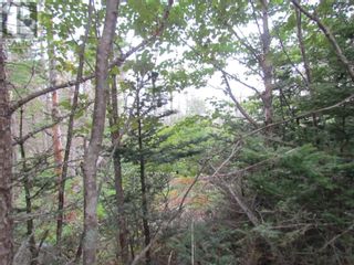 Photo 14: 25A 2 Atlantic Street in Blind Bay: Vacant Land for sale : MLS®# 202319501