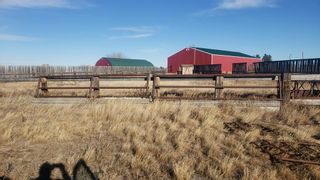 Photo 17: 28528 RR 41 Range Road 41: Oyen Agriculture for sale : MLS®# A1184744