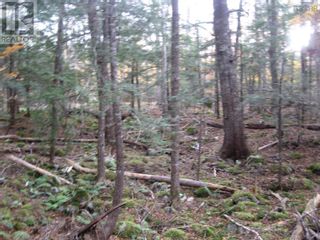 Photo 4: Lot 6 Hemlock Crescent in Labelle: Vacant Land for sale : MLS®# 202324432