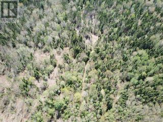 Photo 21: -- 730 Route in Pomeroy Ridge: Vacant Land for sale : MLS®# NB087048