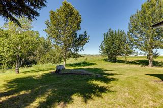 Photo 20: 106006 242 Avenue W: Rural Foothills County Detached for sale : MLS®# A2052158