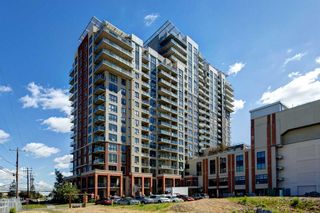 Photo 29: 919 8710 Horton Road SW in Calgary: Haysboro Apartment for sale : MLS®# A2145079
