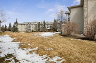 Photo 24: 3304 6818 Pinecliff Grove NE in Calgary: Pineridge Apartment for sale : MLS®# A2124115