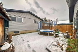 Photo 44: 3431 32A Avenue SE in Calgary: Dover Detached for sale : MLS®# A2126947