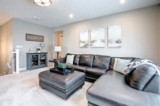 Photo 43: 21 Cranbrook Place SE in Calgary: Cranston Detached for sale : MLS®# A1219655