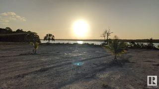 Photo 13: Corozal District: Out of Province_Alberta Land Commercial for sale : MLS®# E4313809