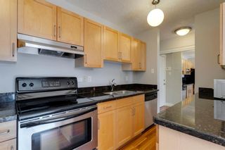 Photo 7: 305 934 2 Avenue NW in Calgary: Sunnyside Apartment for sale : MLS®# A1210615