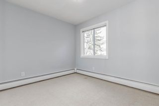 Photo 23: 401C 4455 Greenview Drive NE in Calgary: Greenview Apartment for sale : MLS®# A1052674