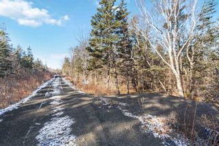 Photo 17: Lot 4 Hampton Mountain Road in Hampton: Annapolis County Vacant Land for sale (Annapolis Valley)  : MLS®# 202403791