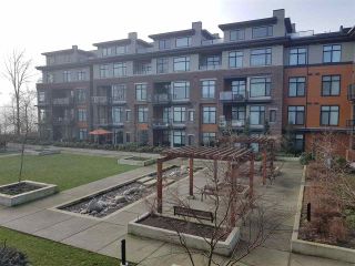 Photo 16: 211 260 SALTER STREET in New Westminster: Queensborough Apartment/Condo for sale : MLS®# R2228704