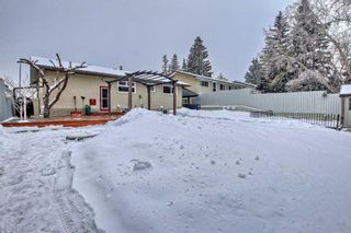 Photo 44: 5971 Dalhousie Drive NW in Calgary: Dalhousie Detached for sale : MLS®# A2105915