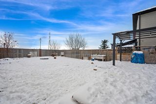 Photo 35: 8 Evansdale Way NW in Calgary: Evanston Detached for sale : MLS®# A2022181
