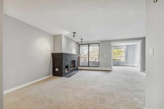Photo 12: 203 2425 90 Avenue SW in Calgary: Palliser Apartment for sale : MLS®# A2126388