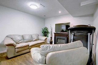 Photo 22: 287 Skyview Springs Gardens NE in Calgary: Skyview Ranch Detached for sale : MLS®# A2137297