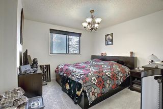 Photo 14: 187 Deerfield Terrace SE in Calgary: Deer Ridge Row/Townhouse for sale : MLS®# A1100394