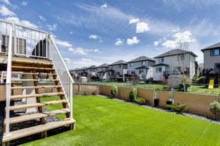 Photo 43: 262 Baywater Way SW: Airdrie Detached for sale : MLS®# A1217104