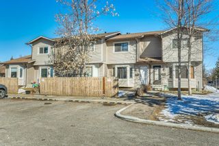 Photo 24: 42 Falshire Terrace NE in Calgary: Falconridge Row/Townhouse for sale : MLS®# A2036231