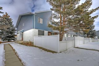 Main Photo: 48 4769 Hubalta Road SE in Calgary: Dover Row/Townhouse for sale : MLS®# A2108138