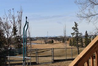 Photo 48: 225 LAKESIDE GREENS Crescent: Chestermere Detached for sale : MLS®# A1189052