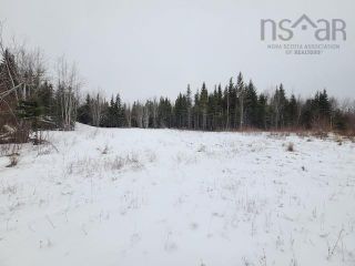 Photo 1: Mud Creek Road in Northport: 102N-North Of Hwy 104 Vacant Land for sale (Northern Region)  : MLS®# 202203090