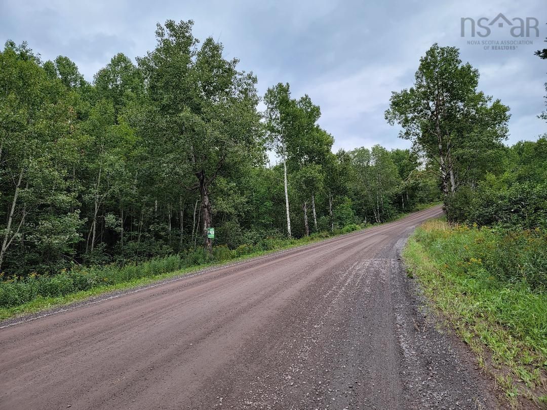 Main Photo: Churchville Road in Churchville: 108-Rural Pictou County Vacant Land for sale (Northern Region)  : MLS®# 202221062