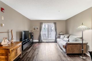 Photo 26: 305 290 Shawville Way SE in Calgary: Shawnessy Apartment for sale : MLS®# A2048768
