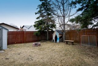Photo 31: 31 Summerwood Road SE: Airdrie Detached for sale : MLS®# A1197001